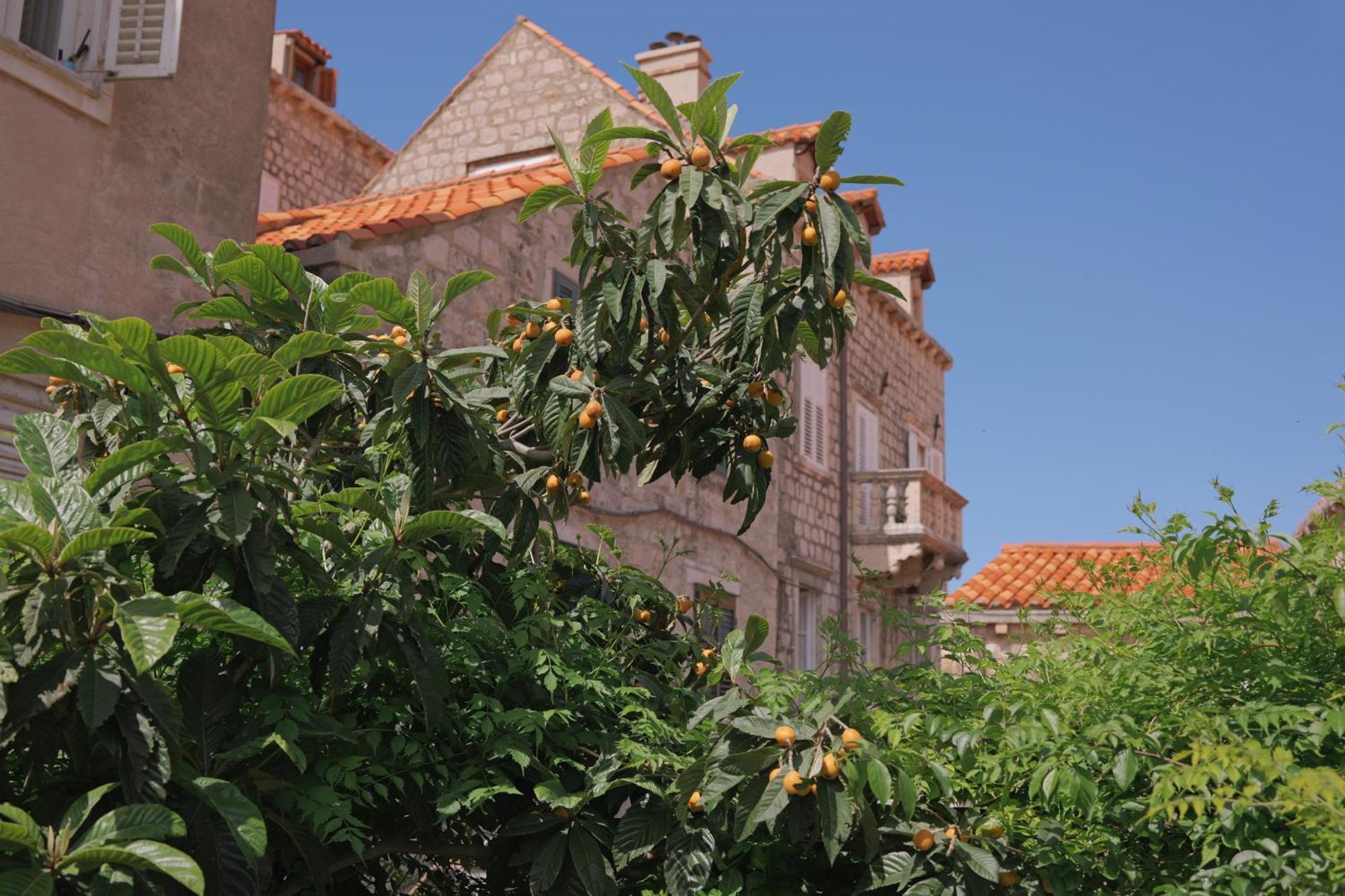 Old Town Green Oasis House Дубровник Экстерьер фото